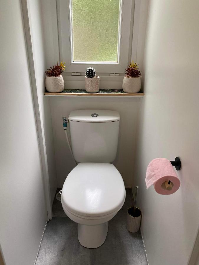 Mobil-Home Agreable Au Pieds Du Lac De Passy パッシー エクステリア 写真