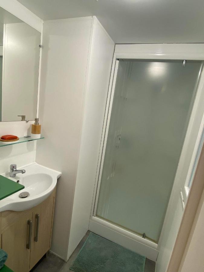 Mobil-Home Agreable Au Pieds Du Lac De Passy パッシー エクステリア 写真