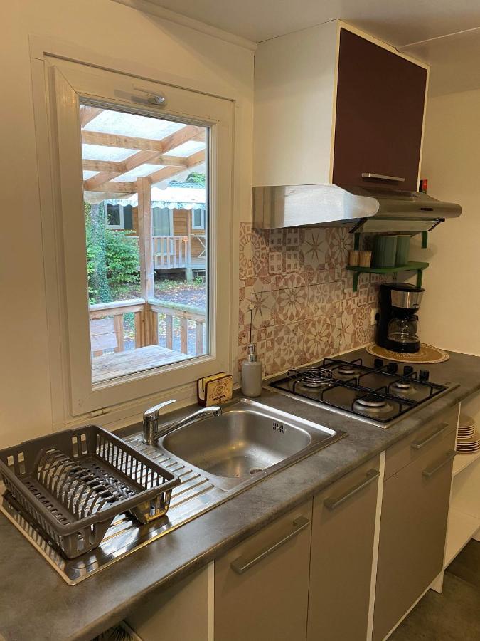 Mobil-Home Agreable Au Pieds Du Lac De Passy パッシー エクステリア 写真